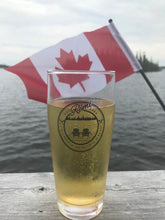 Load image into Gallery viewer, Individual Beer Glasses